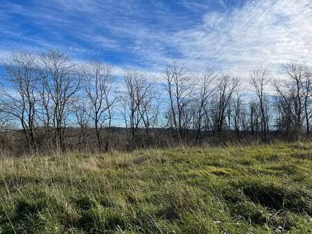 achat terrain 2 009m² belus 40300