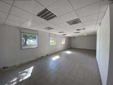location local professionnel 220m²