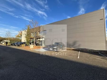 location local professionnel 132m² miribel 01700