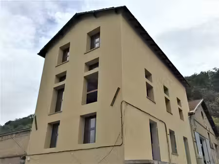 location local professionnel 300m² fleurieu sur saone 69250