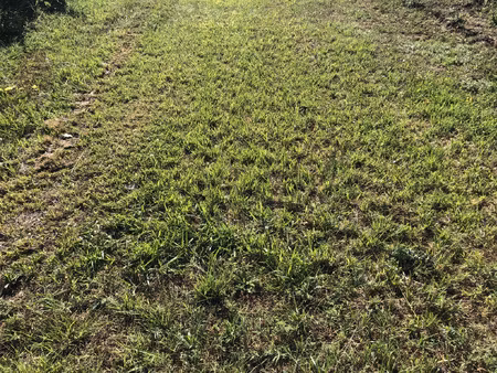 achat terrain 18 210m² anglade 33390