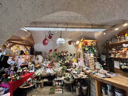 achat local commercial 50m² guillestre 05600