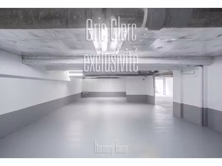 achat local professionnel 192m² la trinite 06340