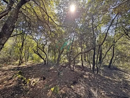 achat terrain 13 308m² le rouret 06650