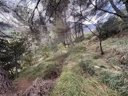 achat terrain 4 621m² menton 06500