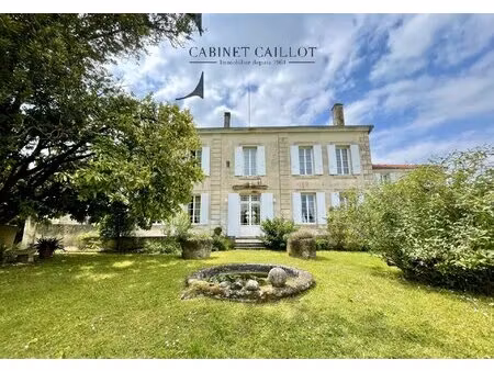achat maison 12 pièces 400m² tesson 17460