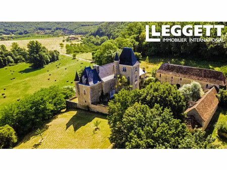 achat maison 11 pièces 600m² coulaures 24420