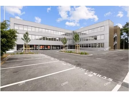 location local professionnel 919m²