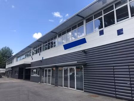 location local professionnel 490m²