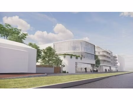 location local professionnel 335m²