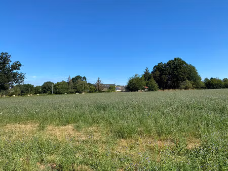 achat terrain 1 576m²