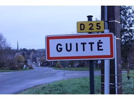 achat terrain 5 090m² guitte 22350