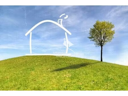 achat terrain parigne 35133