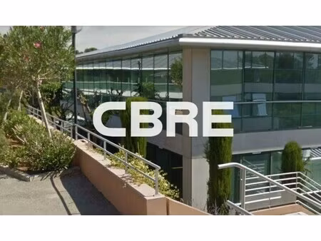 location local professionnel 271m²