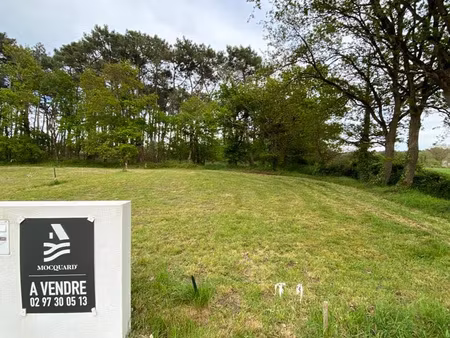 achat terrain 1 319m² crach 56950