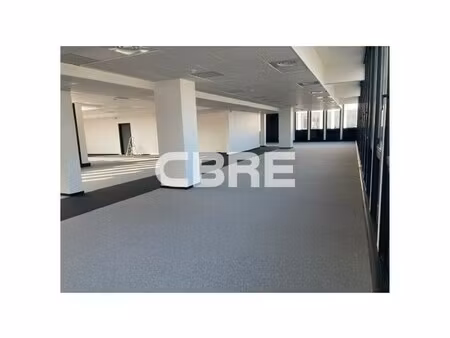 location local professionnel 424m²