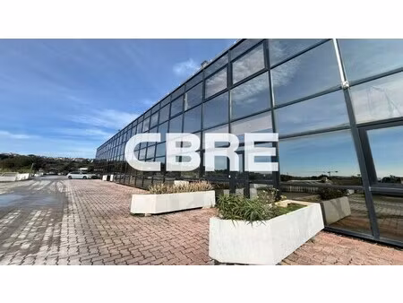location local professionnel 295m²