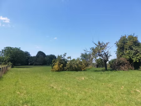 achat terrain 2 991m² aillant sur tholon 89110