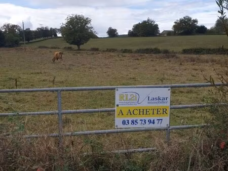 achat terrain 1 300m² essertenne 71510