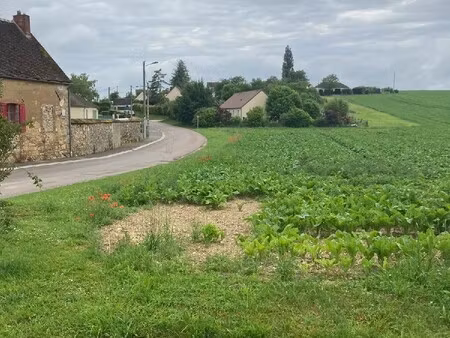 achat terrain 1 105m² voisines 89260