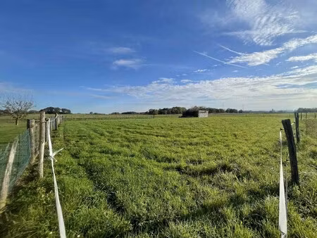 achat terrain 1 215m² farges les macon 71700