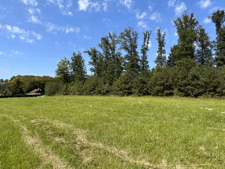 achat terrain 1 099m² lixy 89140