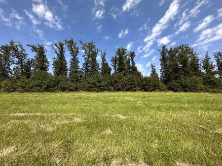 achat terrain 1 067m² lixy 89140