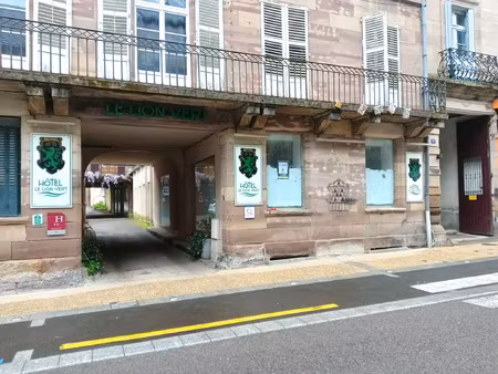 achat local professionnel 43m² luxeuil les bains 70300