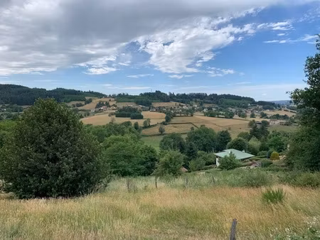 achat terrain 4 000m² chauffailles 71170