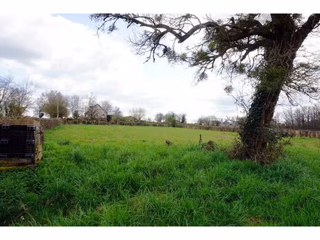 achat terrain 2 347m² poisson 71600