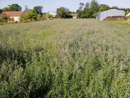 achat terrain 2 388m² aillant sur tholon 89110