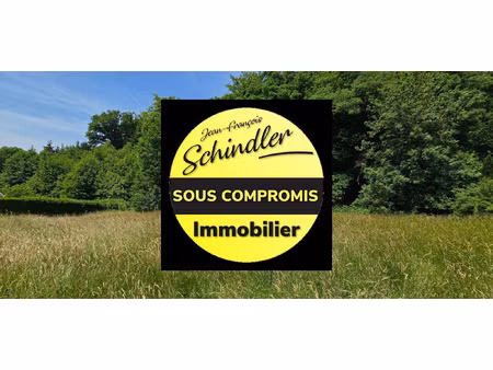 achat terrain 1 880m² etueffont 90170