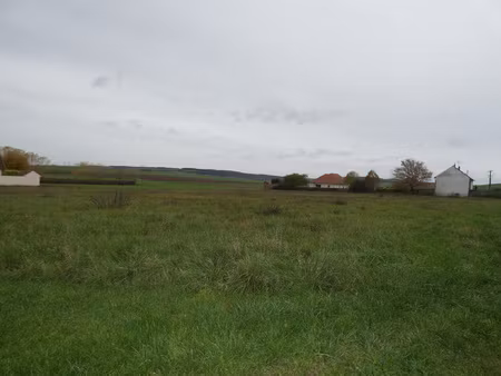 achat terrain 6 872m² laroche st cydroine 89400