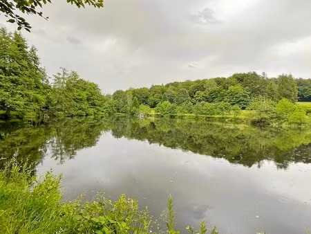 achat terrain 14m² brassy 58140