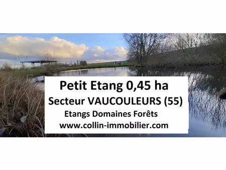 achat terrain 4 500m² vaucouleurs 55140