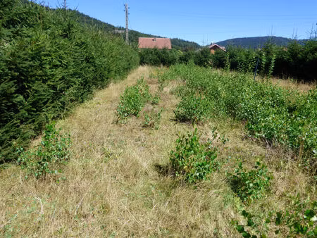 achat terrain 606m²