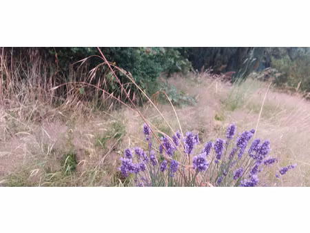 achat terrain 498m² troisfontaines 57870