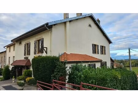 achat maison 10 pièces 239m² herimenil 54300