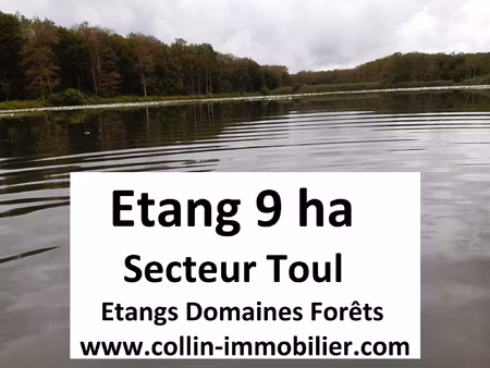 achat terrain 90 000m² toul 54200