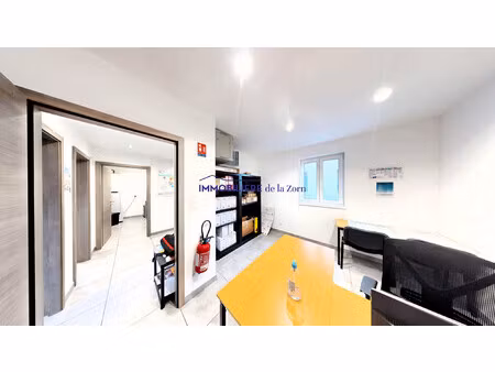 achat local professionnel 59m² brumath 67170