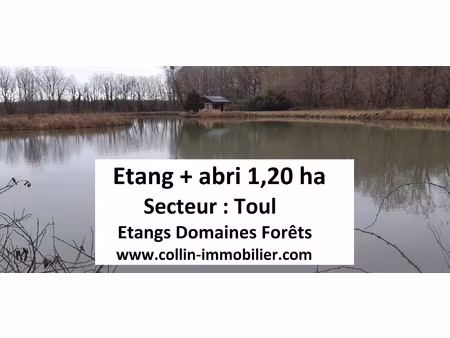 achat terrain 12 000m² toul 54200