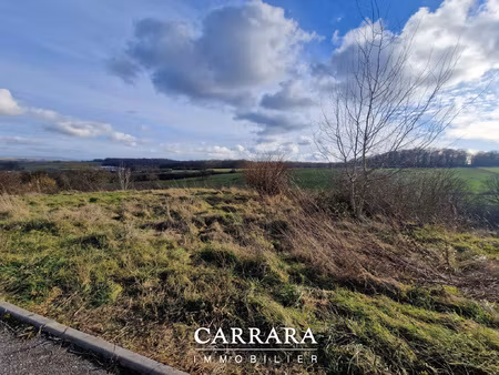 achat terrain 2 995m² lesmenils 54700
