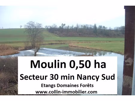 achat terrain 5 000m² nancy 54000