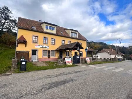 achat immeuble 400m² ranrupt 67420