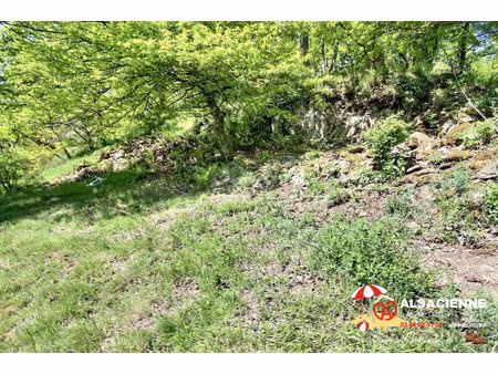 achat maison 7 pièces 190m² urbeis 67220