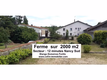 achat terrain 2 000m² anthelupt 54110