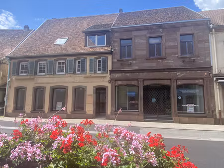 achat maison 12 pièces 454m² diemeringen 67430