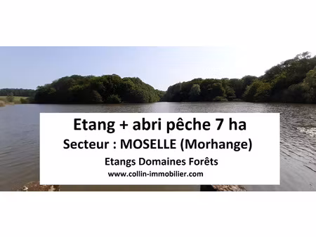 achat terrain 65 000m² morhange 57340