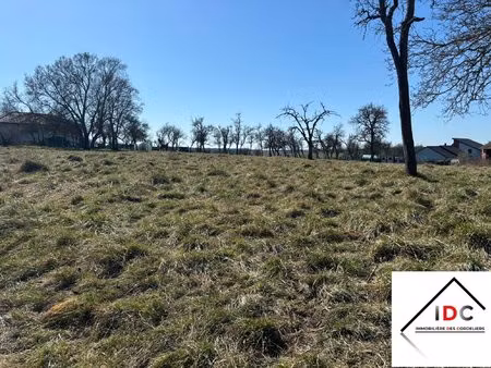 achat terrain 6 900m² sarrebourg 57400
