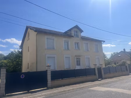 achat immeuble 280m² chaumont 52000